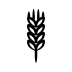 wheat